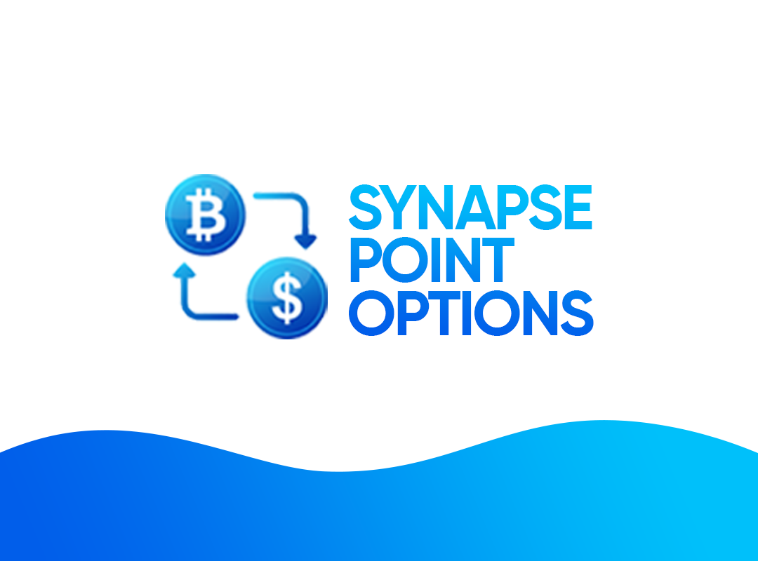 Synapse Point Options